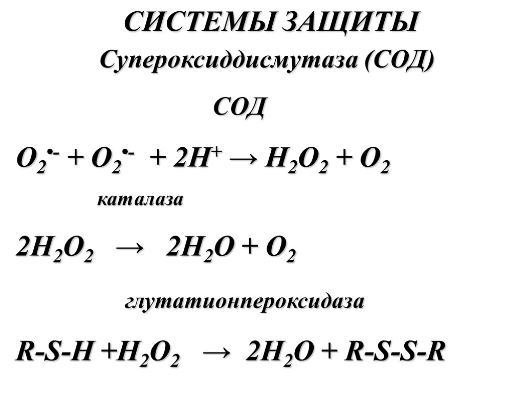 СИСТЕМЫ ЗАЩИТЫ Супероксиддисмутаза (СОД) СОД O2•- + O2•- + 2H+ → H2O2 + O2